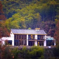 浙江湖州的网红村庄,湖州村庄魅力绽放——探寻湖州网红村落的独特风情”